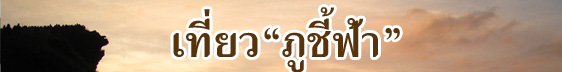 เที่ยวภูชี้ฟ้า